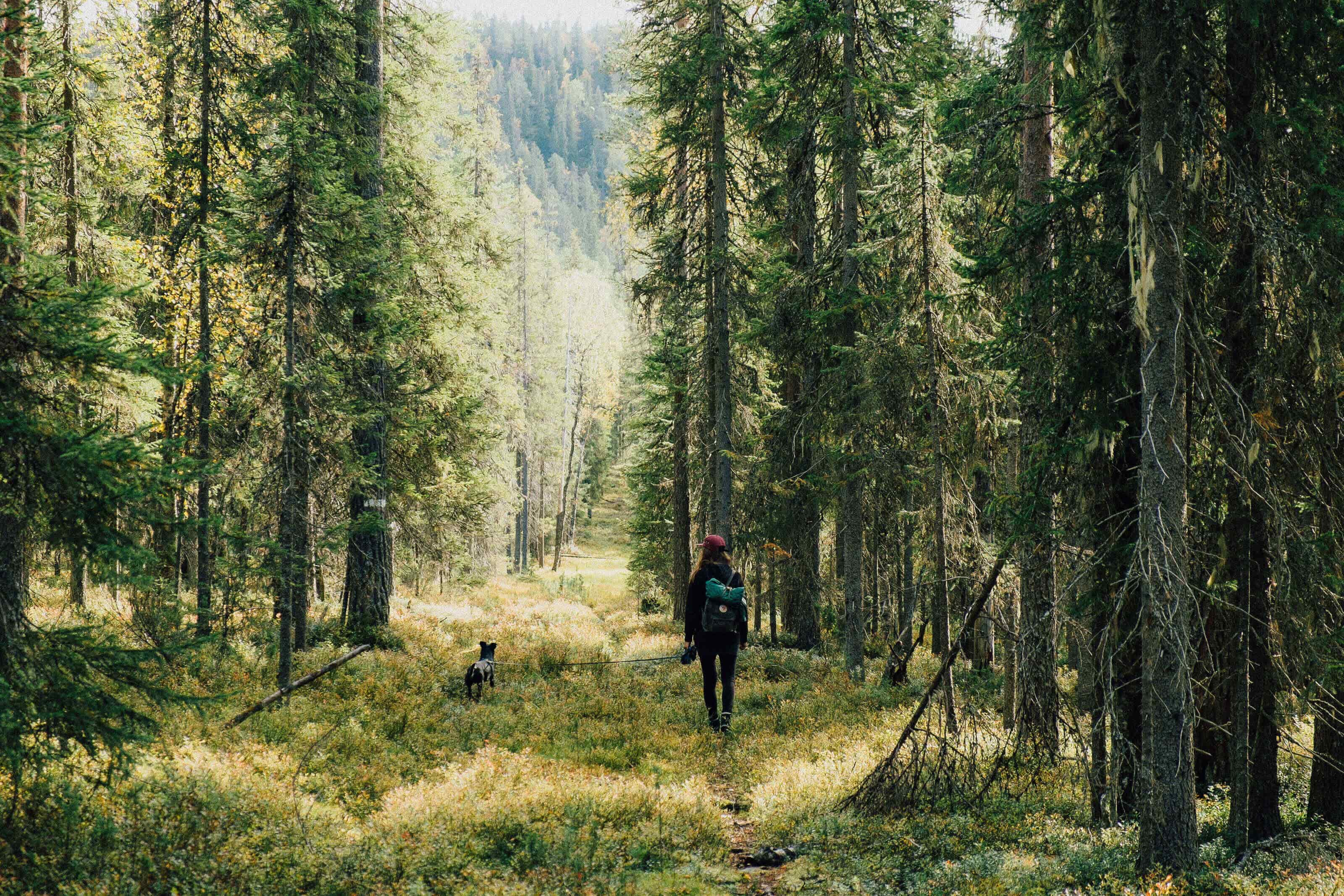 Finland_Syote_National Park - Olli Oilinki